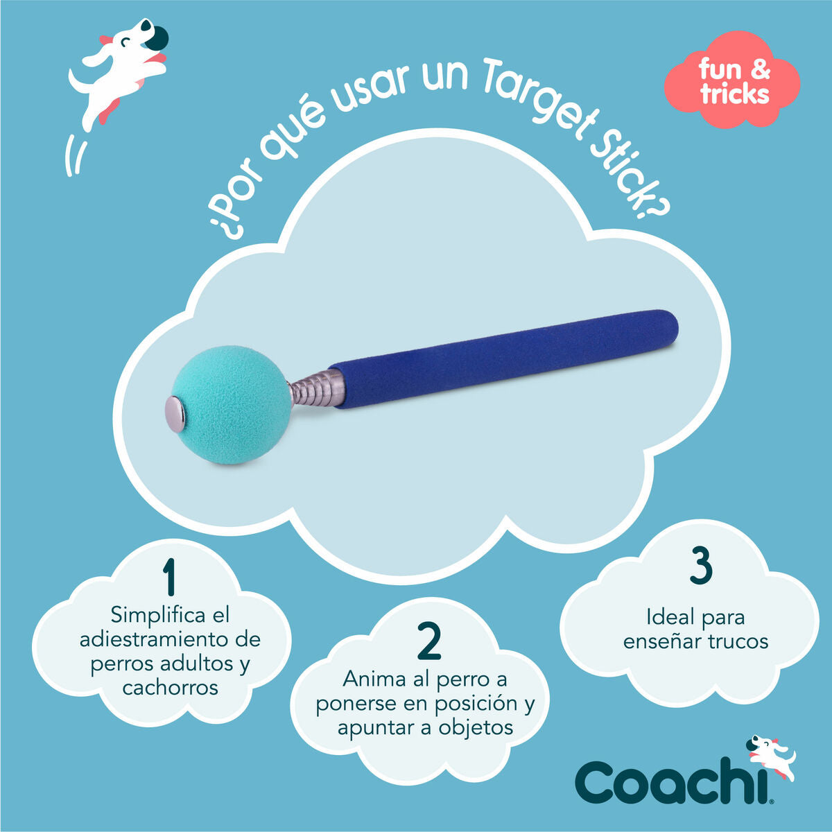 Training toy Coachi Stick Blue