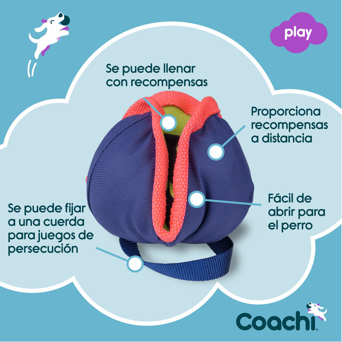 Training toy Coachi CHASE & TREAT Blue