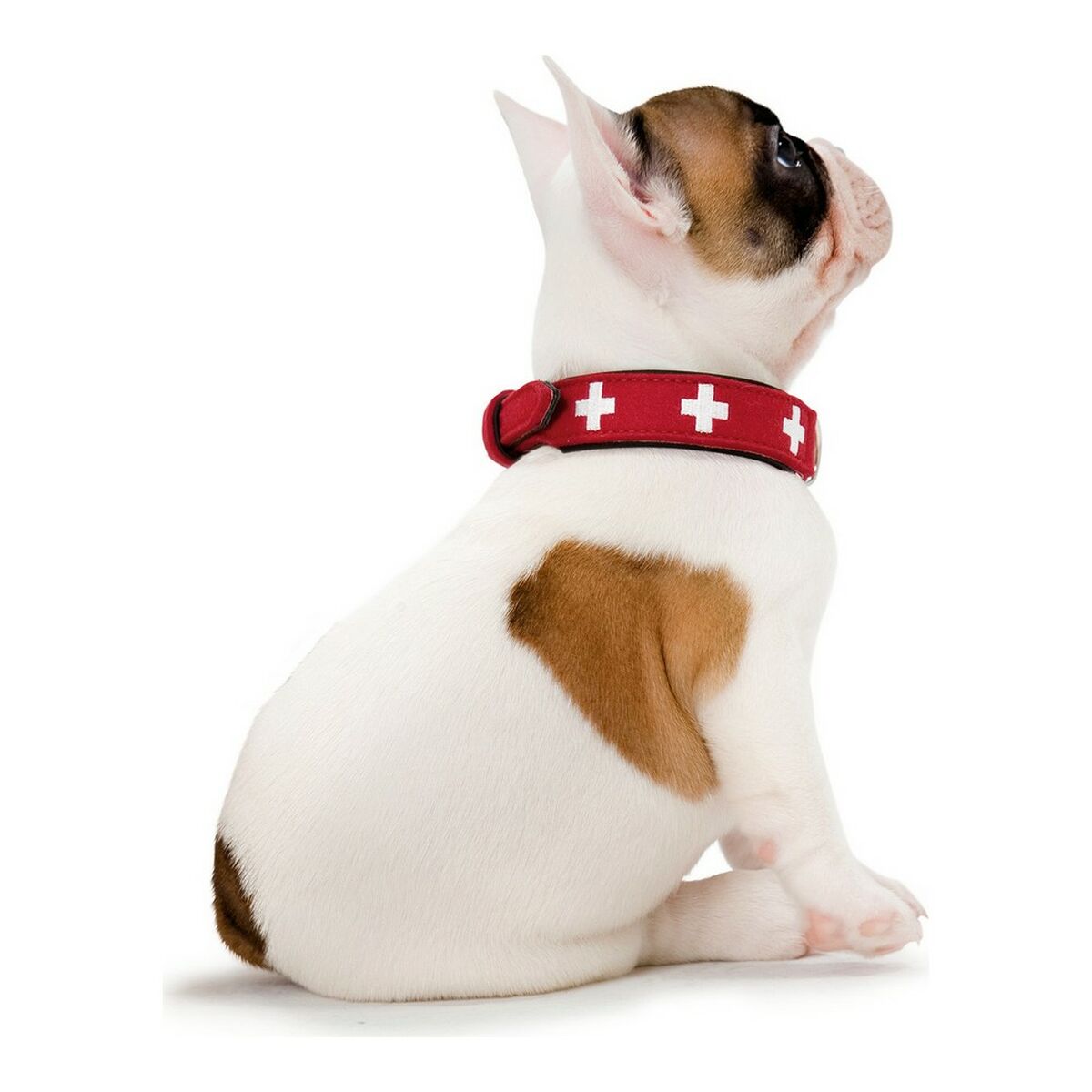 Dog collar Hunter Swiss Red/Black (24-28.5 cm)
