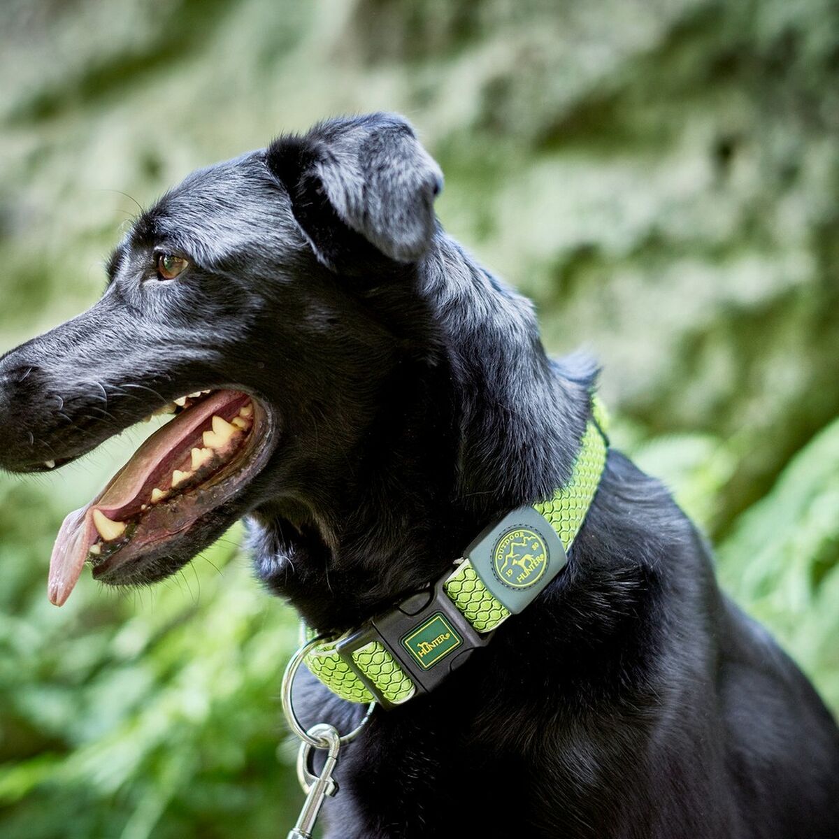Dog collar Hunter Plus Thread Size XL Lime (45-70 cm)