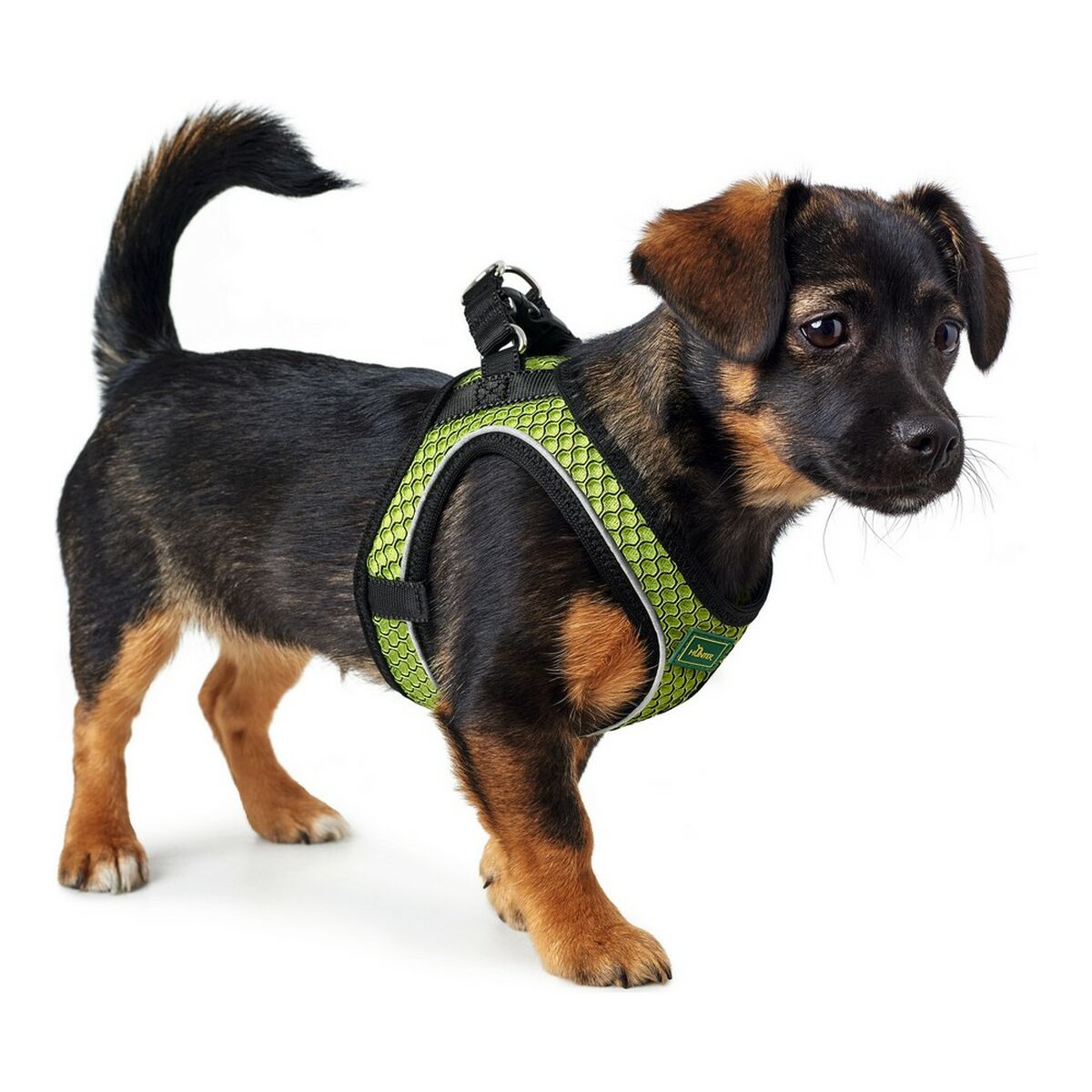 Dog Harness Hunter Hilo-Comfort XS-S Lime (37-42 cm)