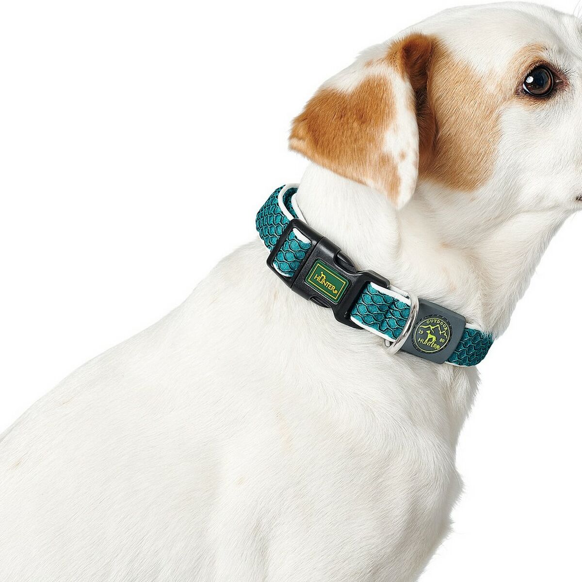 Dog collar Hunter Basic Thread Orange Size M (33-50 cm)
