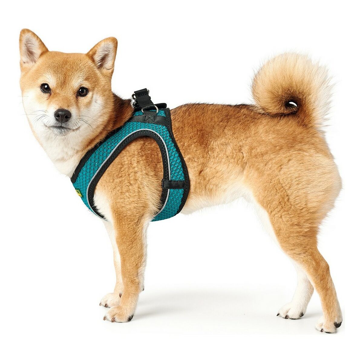 Dog Harness Hunter Hilo-Comfort Turquoise XS size (35-37 cm)