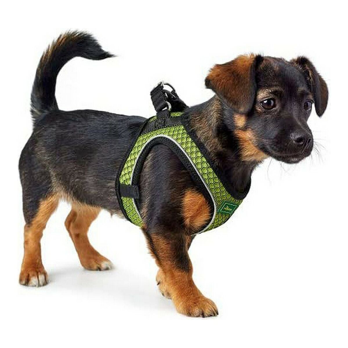 Dog Harness Hunter Hilo-Comfort Lime Size M/L (58-63 cm)