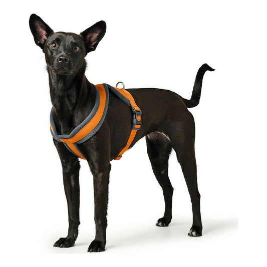 Dog Harness Hunter London Comfort 39-47 cm Orange XS/S
