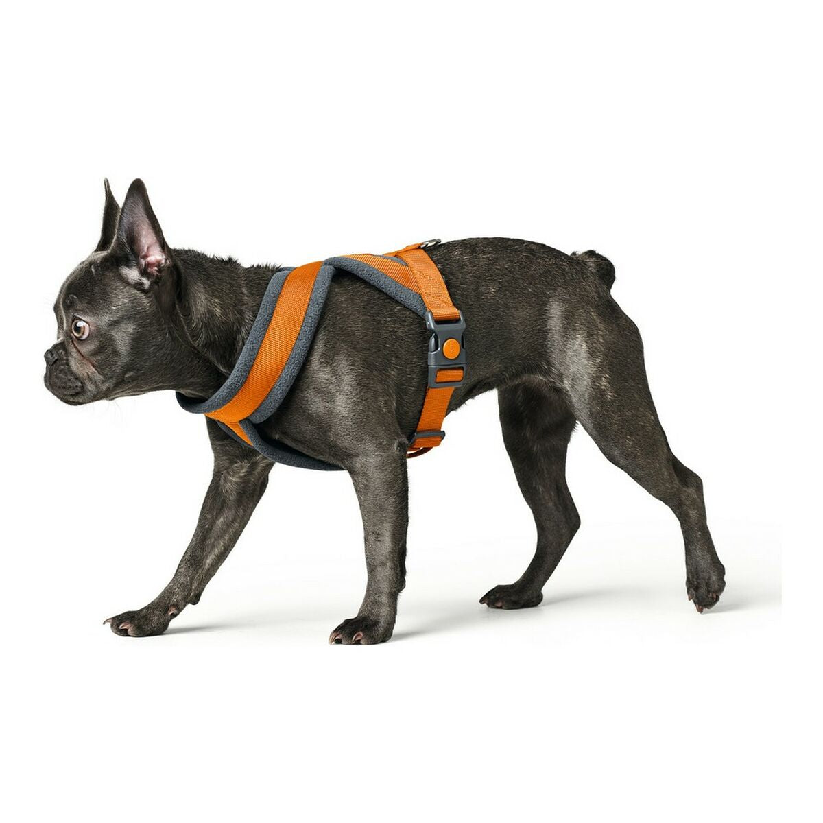 Dog Harness Hunter London Comfort 48-56 cm Orange Size S/M