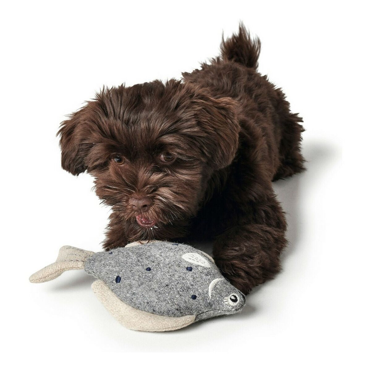 Dog toy Hunter Skagen Grey Fish