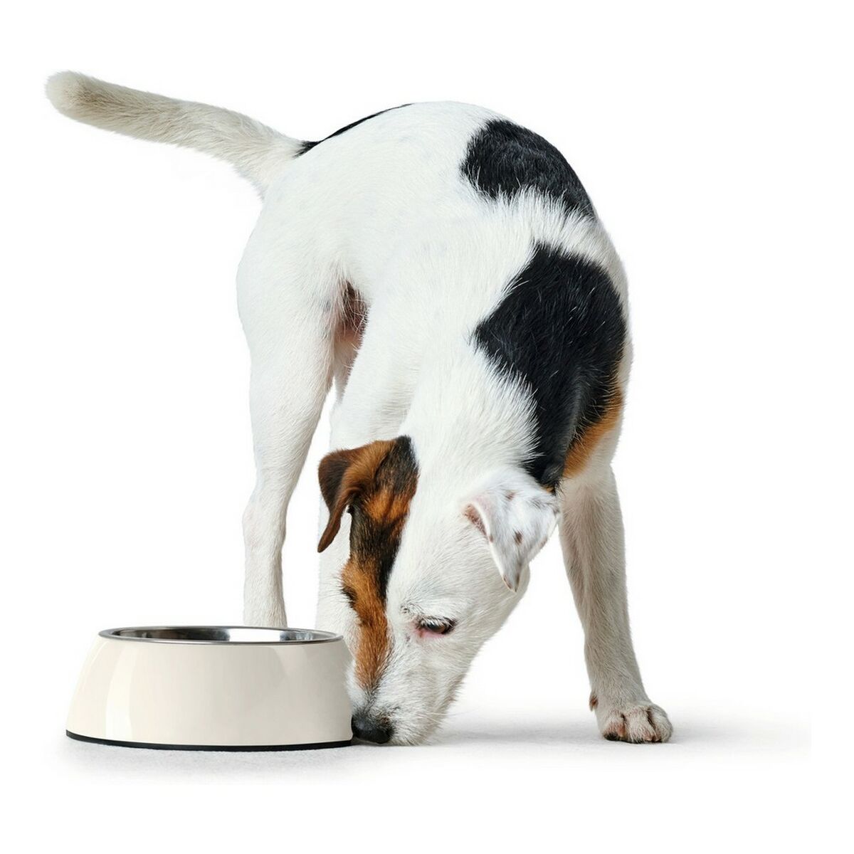Dog Feeder Hunter Melamin Stainless steel White 350 ml (18,5 x 18,5 x 9,5 cm)