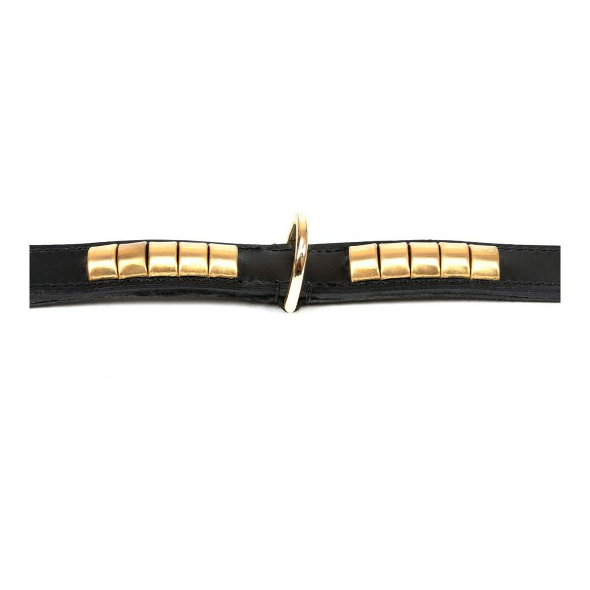 Dog collar Gloria Duna Black Golden (55 x 2.5 cm)