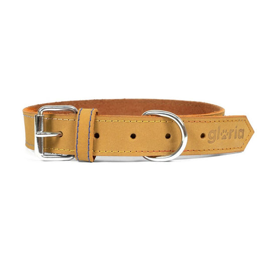 Dog collar Gloria Oasis Yellow (1,5 x 40 cm)