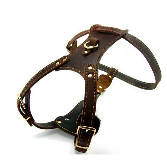 Pet Products Genuine Leather Dog Vest Harness For Medium Large Dog Pets Professional Dog Vest Collar Hand Chest Straps