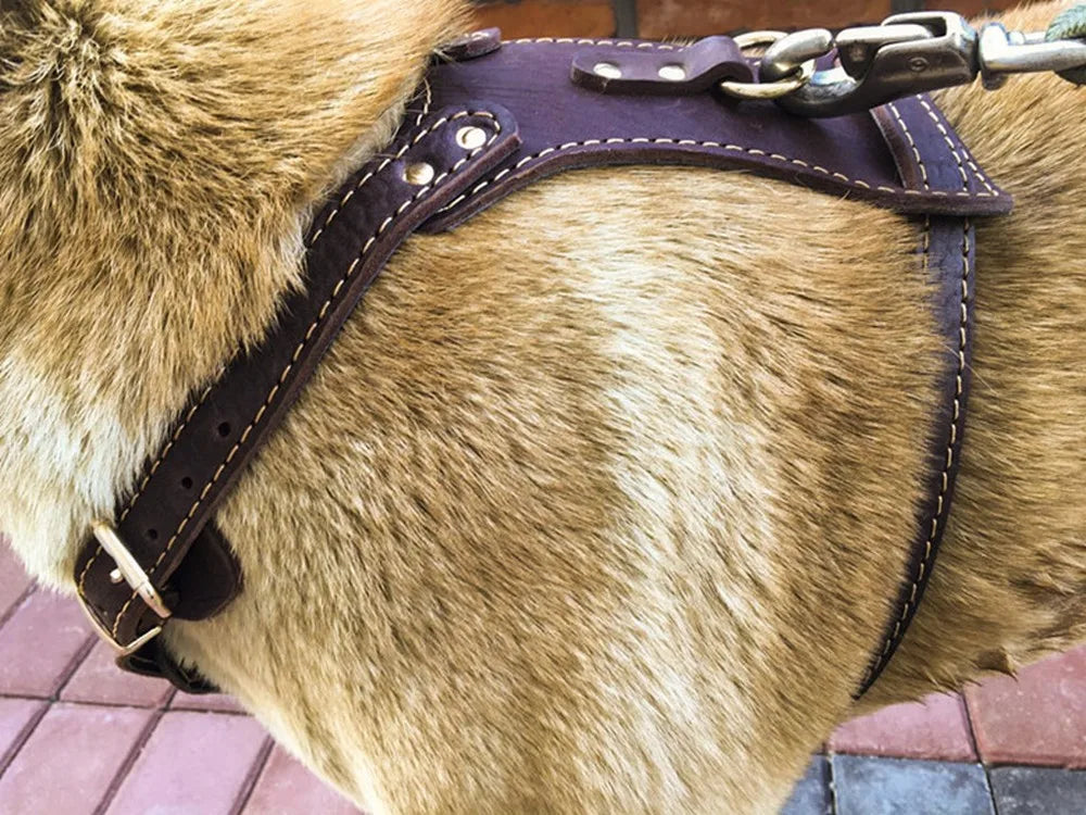 Pet Products Genuine Leather Dog Vest Harness For Medium Large Dog Pets Professional Dog Vest Collar Hand Chest Straps