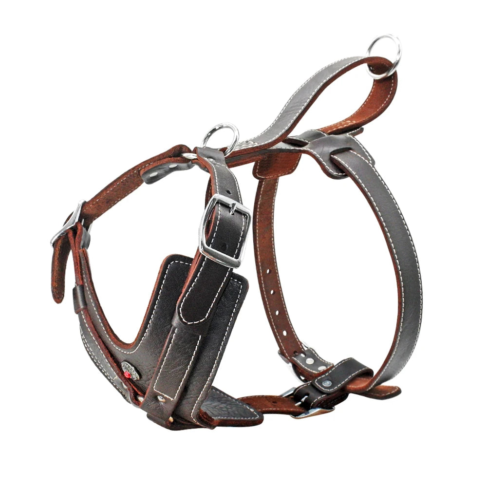 Tough Leather Harness