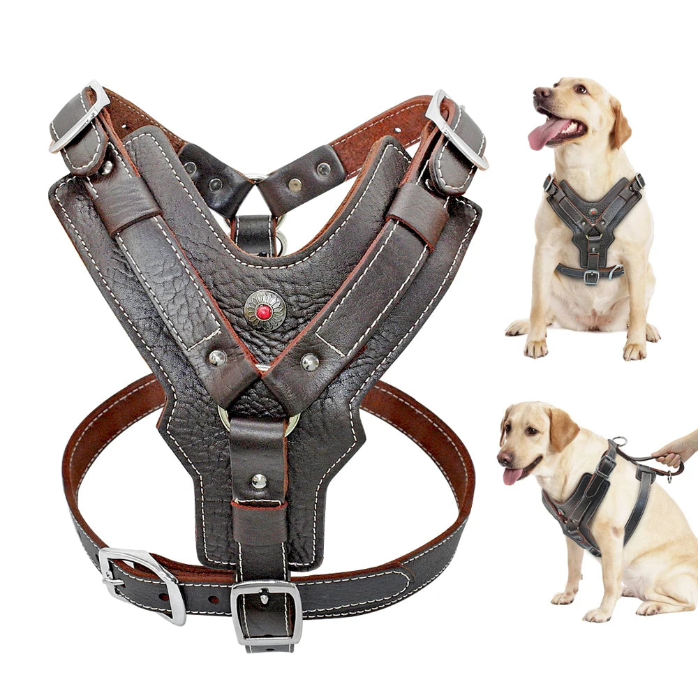 Tough Leather Harness