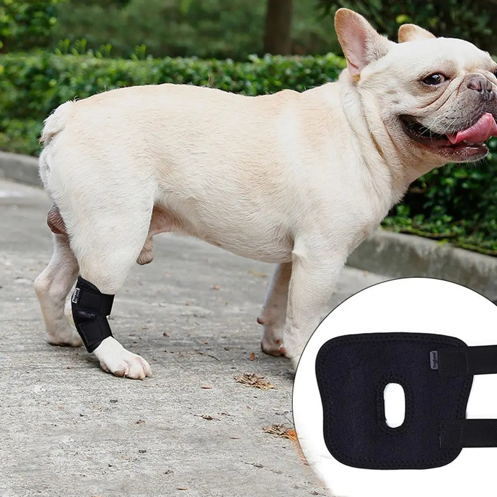 1 Pc Pet Knee Pads Support Brace for Leg Hock Joint Wrap Breathable Injury Recover Legs Dog Protector Support Protects Bandage
