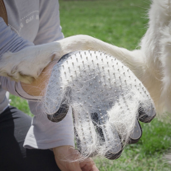 Grooming and Massage Glove