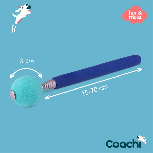 Training Toy Ball on Stick - Coachi