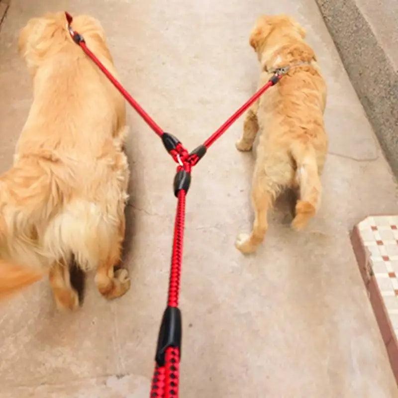 Double High-quality Traction Rope Leash For 2 Dogs