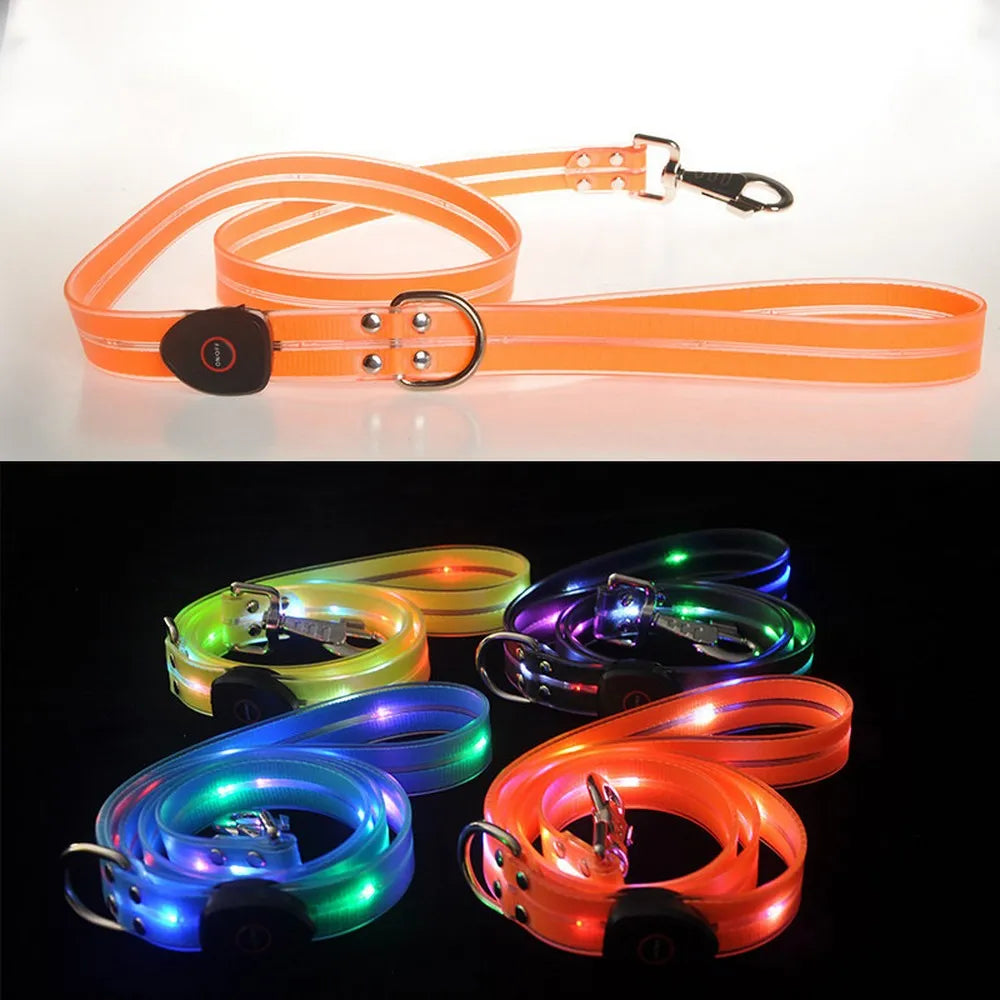 LED Light UP Leash USB Rechargeable PVC With Webbing Glowing