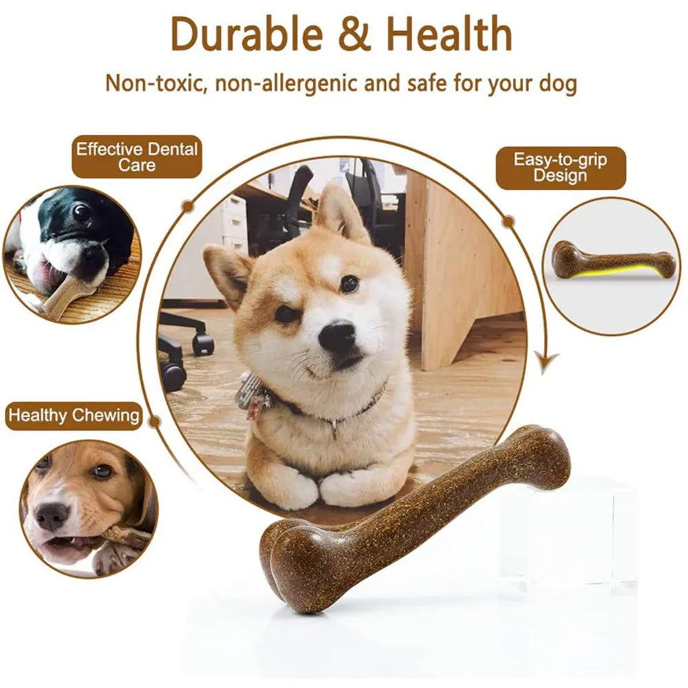 Bone Chewing Toy Nearly Indestructible Natural Non-Toxic Dental Care
