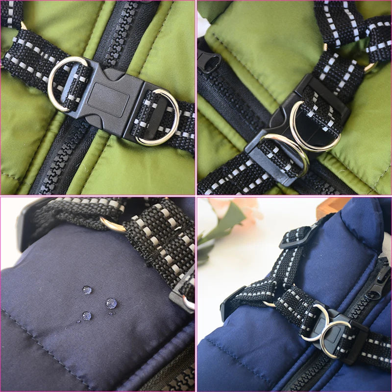 Winter Jacket With Harness