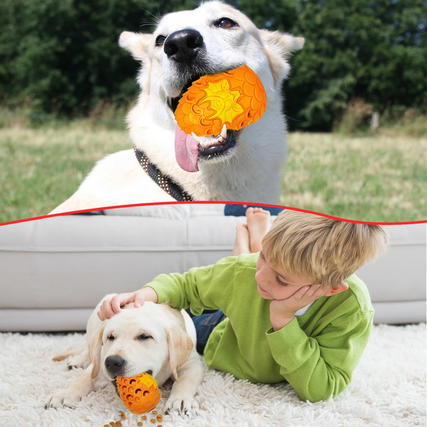 Indistructable Dragon Egg Dog Chew Toy