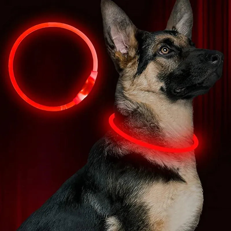 LED Luminous Collar With USB Charge