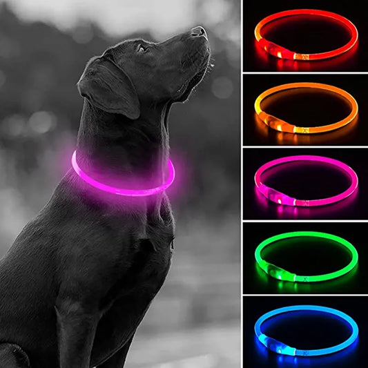 LED Luminous Collar With USB Charge