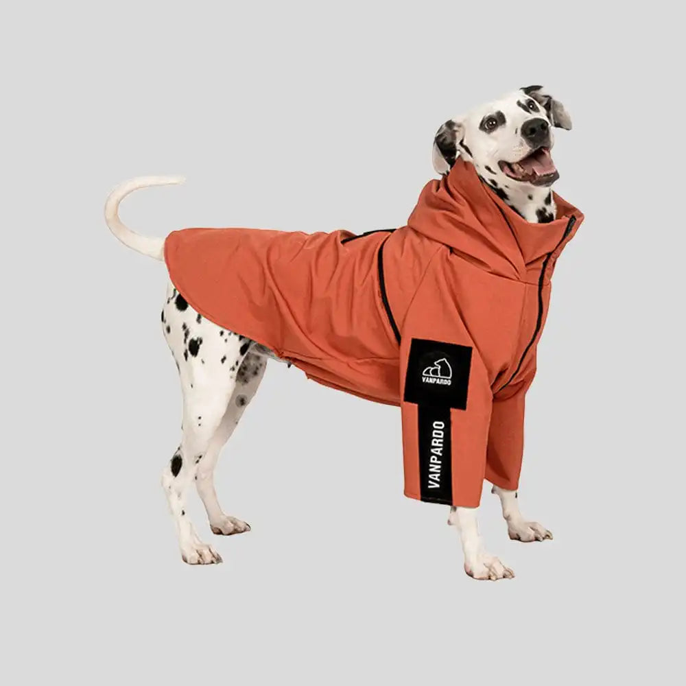 Sporty Dog Winter Coat
