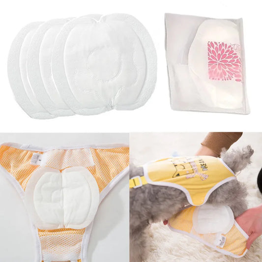 30pcs/bag Dog Pads Disposable Dog Diapers for Male and Female Dogs - Comfortable and Absorbent Dog Shorts with Sanitary Pad