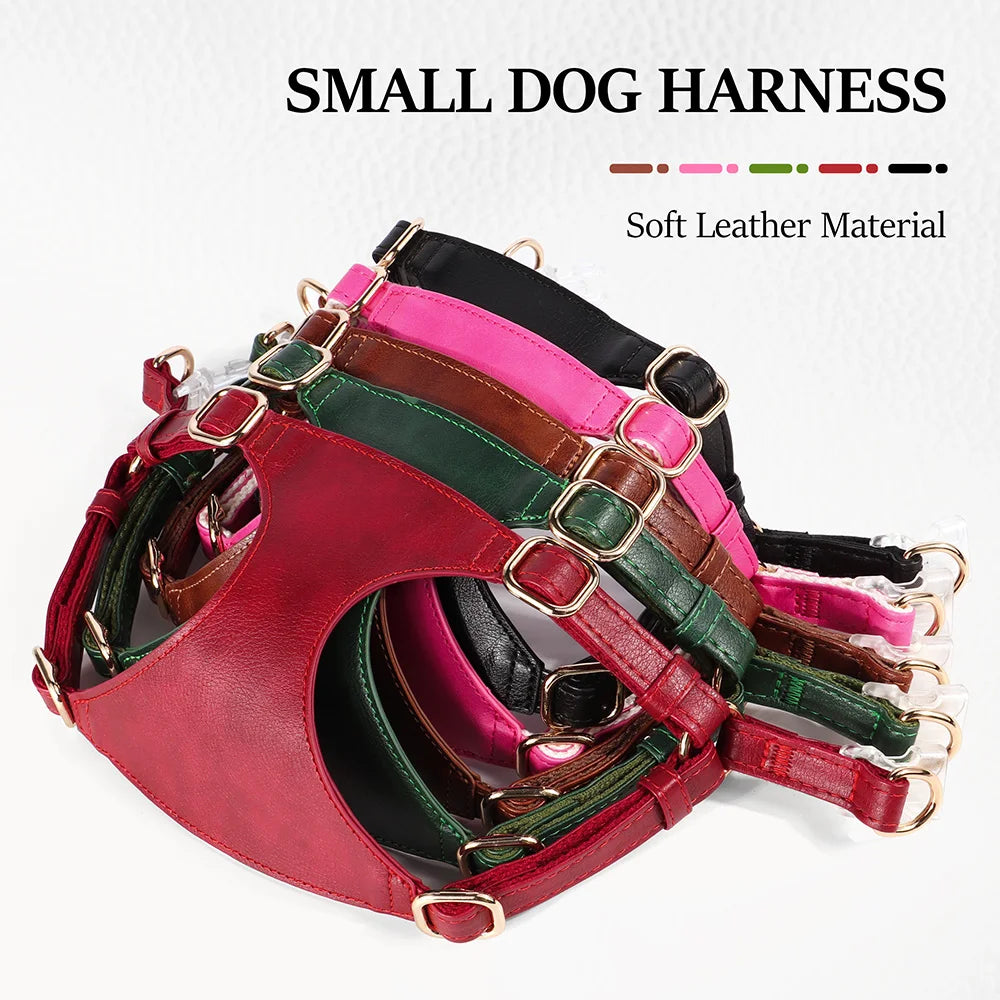 Leather Harness & Leash Set