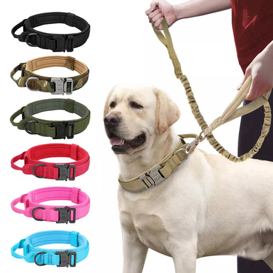 Durable Military Tactical Collar & Bungee Leash