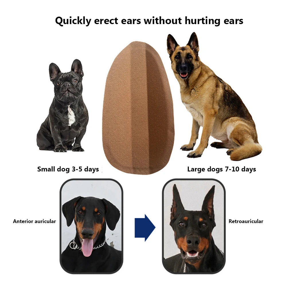 Practical Corrective Dog Ear Stickers Milk Calcium Herb Ear Standing Correction Breathable Care Tools for Doberman Corgi