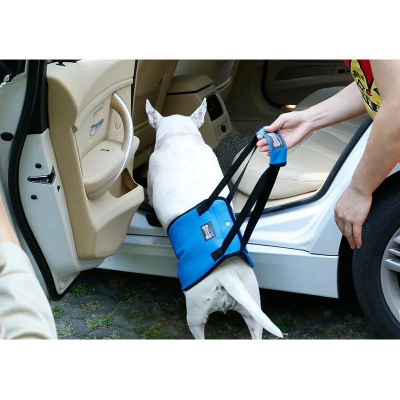 Old age dog walking/Pet Lift Harness Walk Aid Sling Rehabilitation Belly Limb Support Belt for Help Elder Weak Injury Dogs