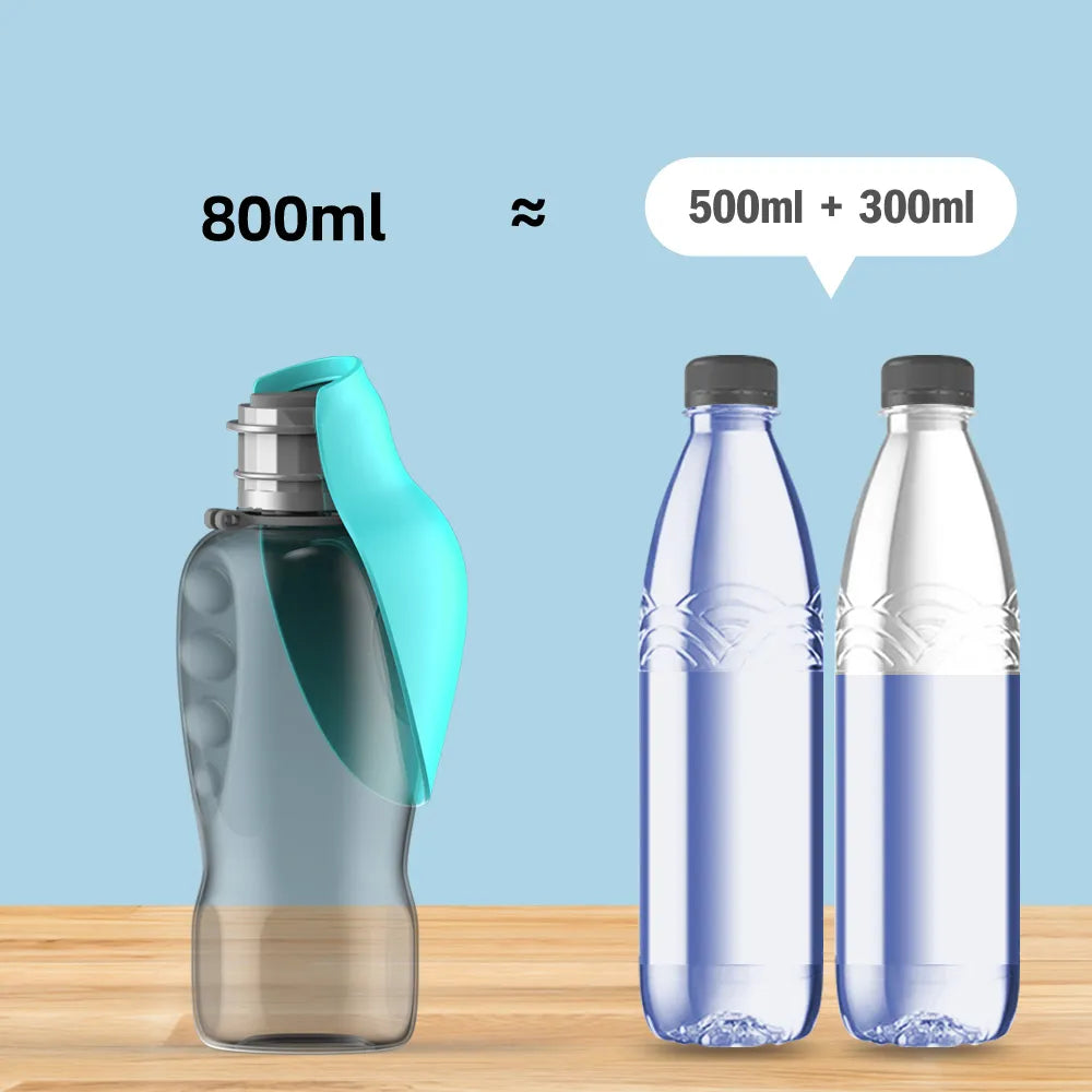 800ml Portable Water Bottle
