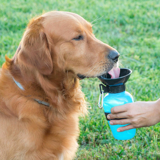 Dog Water Bottle-Dispenser InnovaGoods