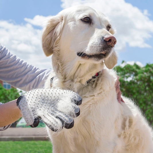 Pet Brush & Massage Glove Relpet InnovaGoods