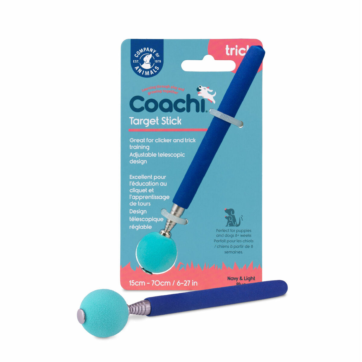 Training toy Coachi Stick Blauw