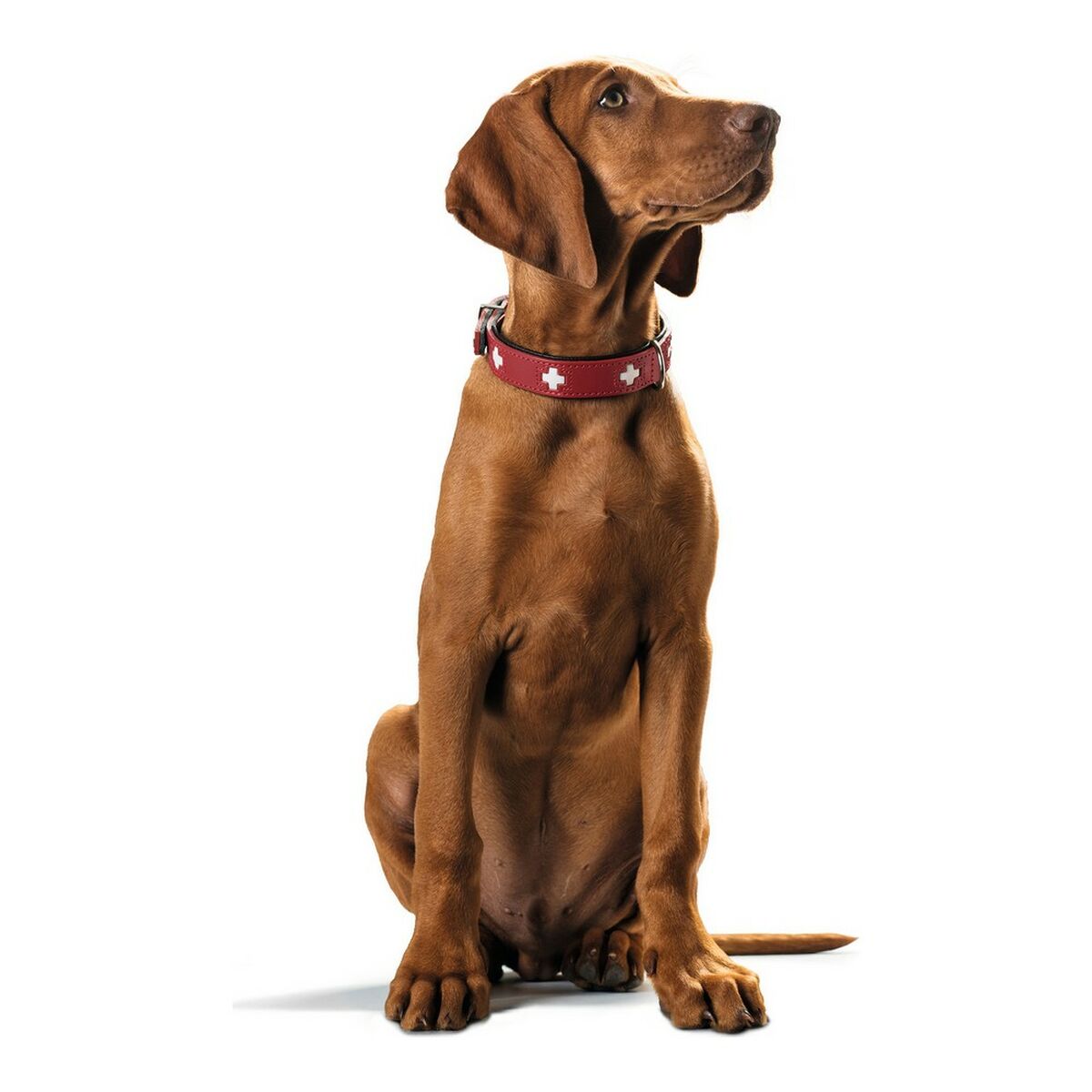 Hondenhalsband <tc>Hunter</tc> Zwitsers rood/zwart (35-39,5 cm)
