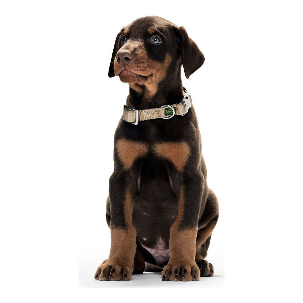 Dog collar Hunter Alu-Strong Black Size S (30-45 cm)