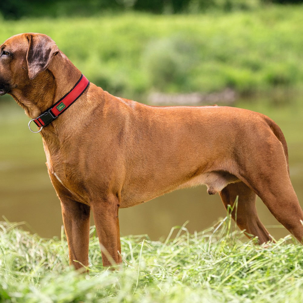 Hondenhalsband Hunter Neopren Vario Rood (35-40 cm)