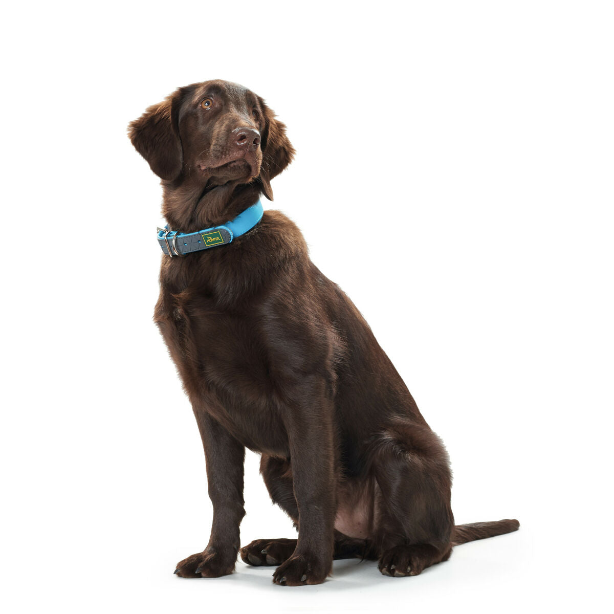 Dog collar Hunter Convenience 47-55 cm L Turquoise
