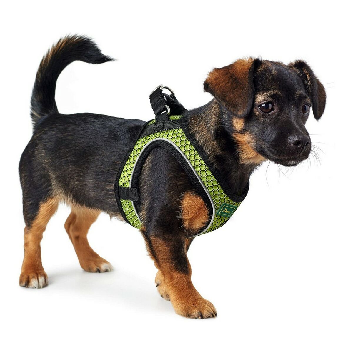 Dog Harness Hunter Hilo-Comfort Lime Size XXS (26-30 cm)