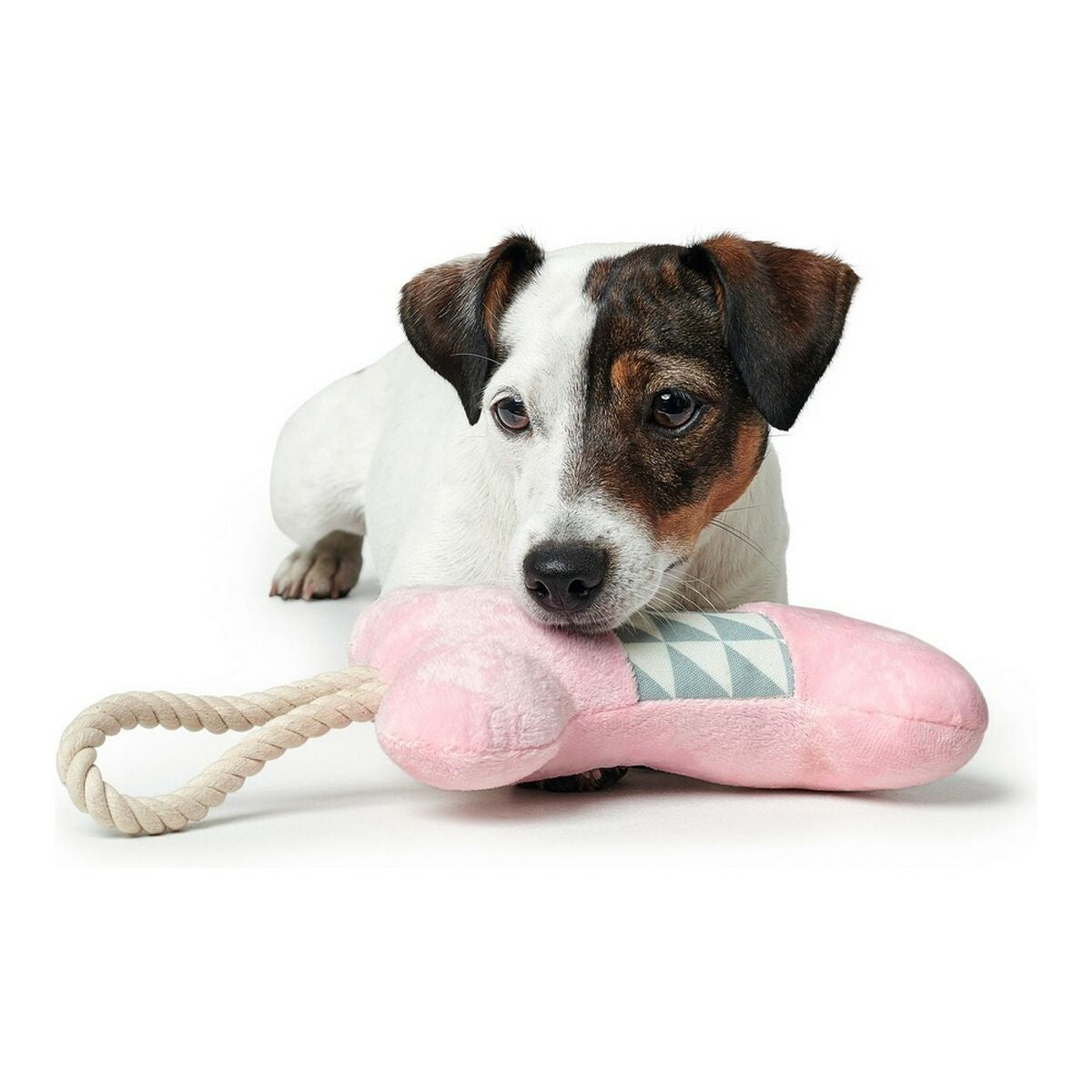 Kauwspeeltje hond <tc>Hunter</tc> Salima Pluizig speeltje Met touwtje Roze Pups