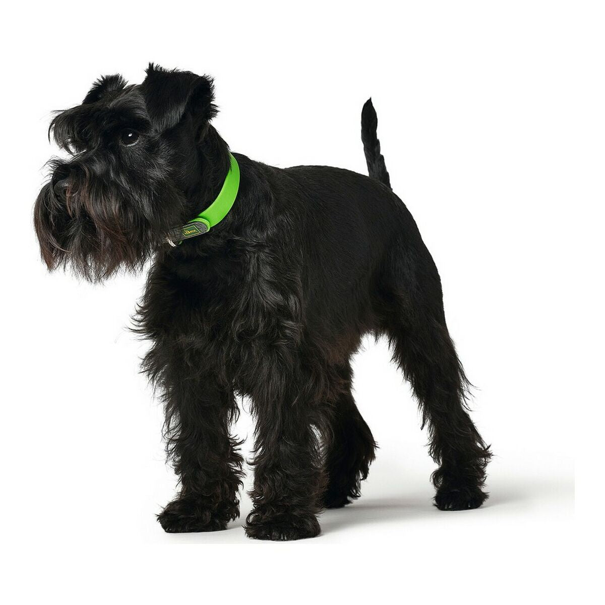 Dog collar Hunter Convenience Green Size S/M (33-41 cm)