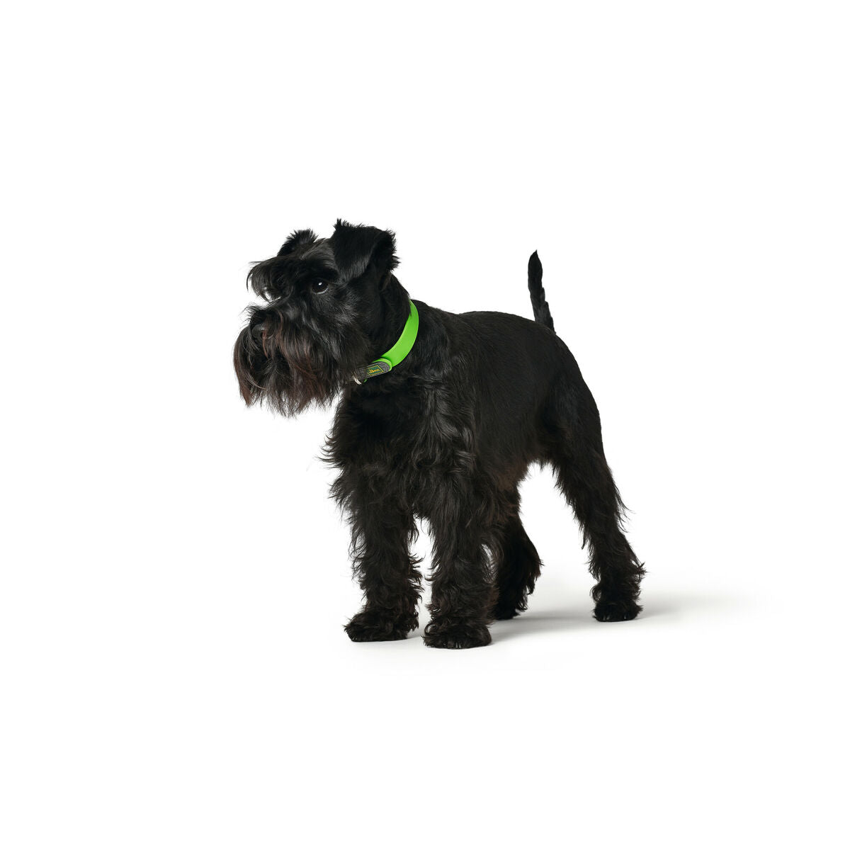 Dog collar Hunter Convenience 47-55 cm L Green