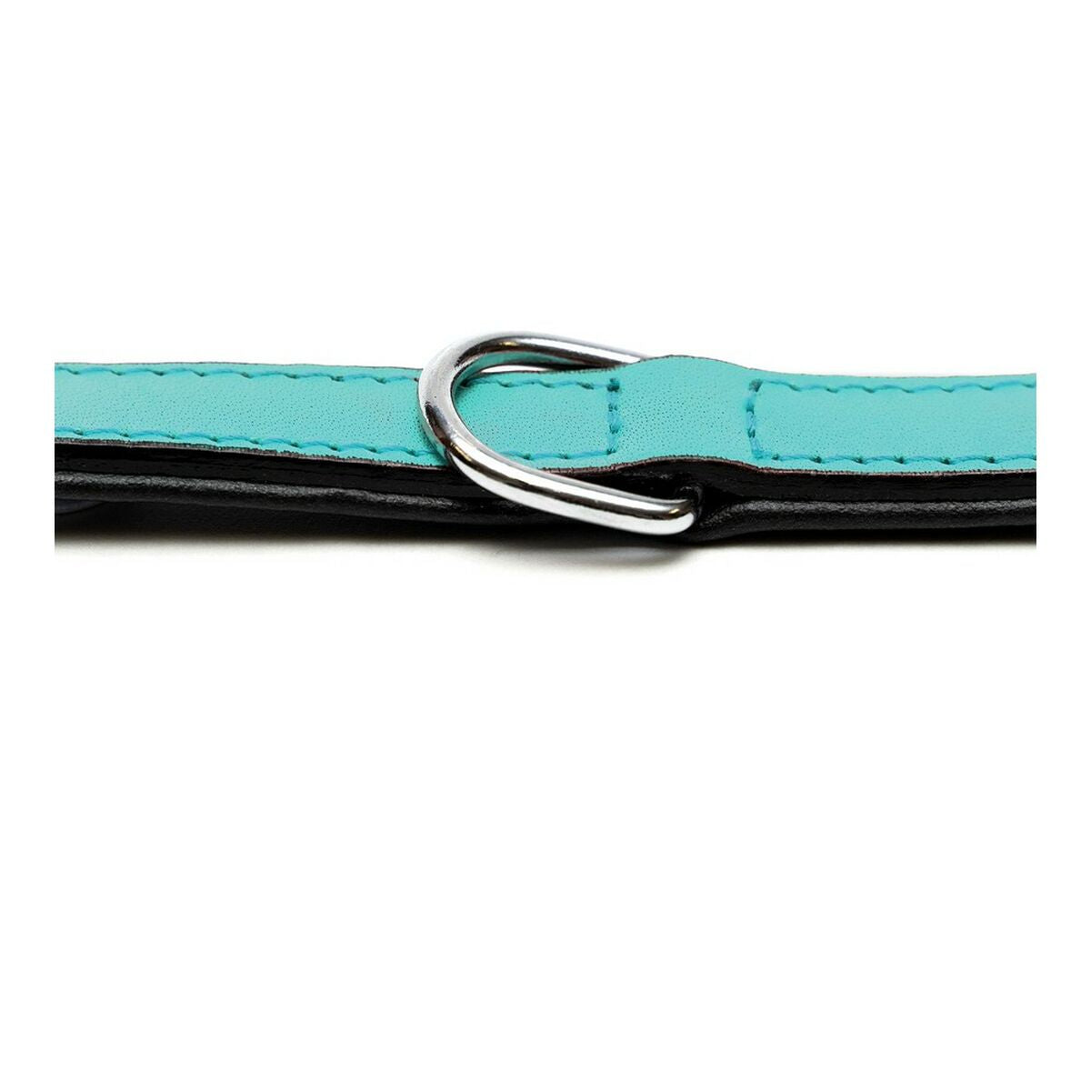 Dog collar Gloria Padded Turquoise (30 x 1,5 cm)