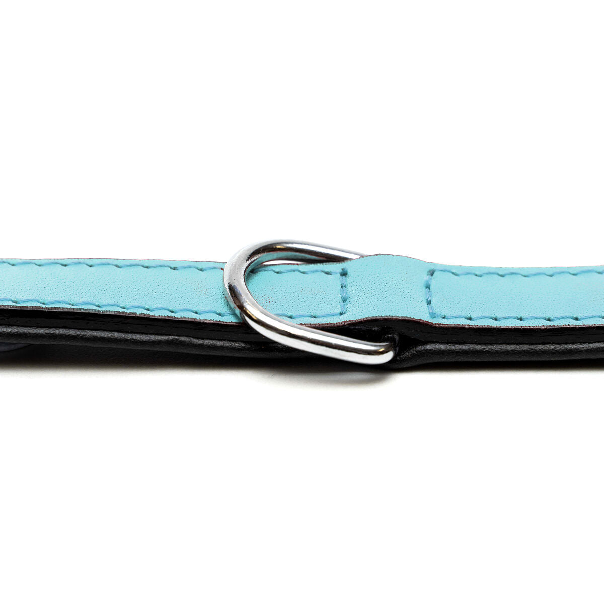 Dog collar Gloria 30 cm Padded Leather Blue