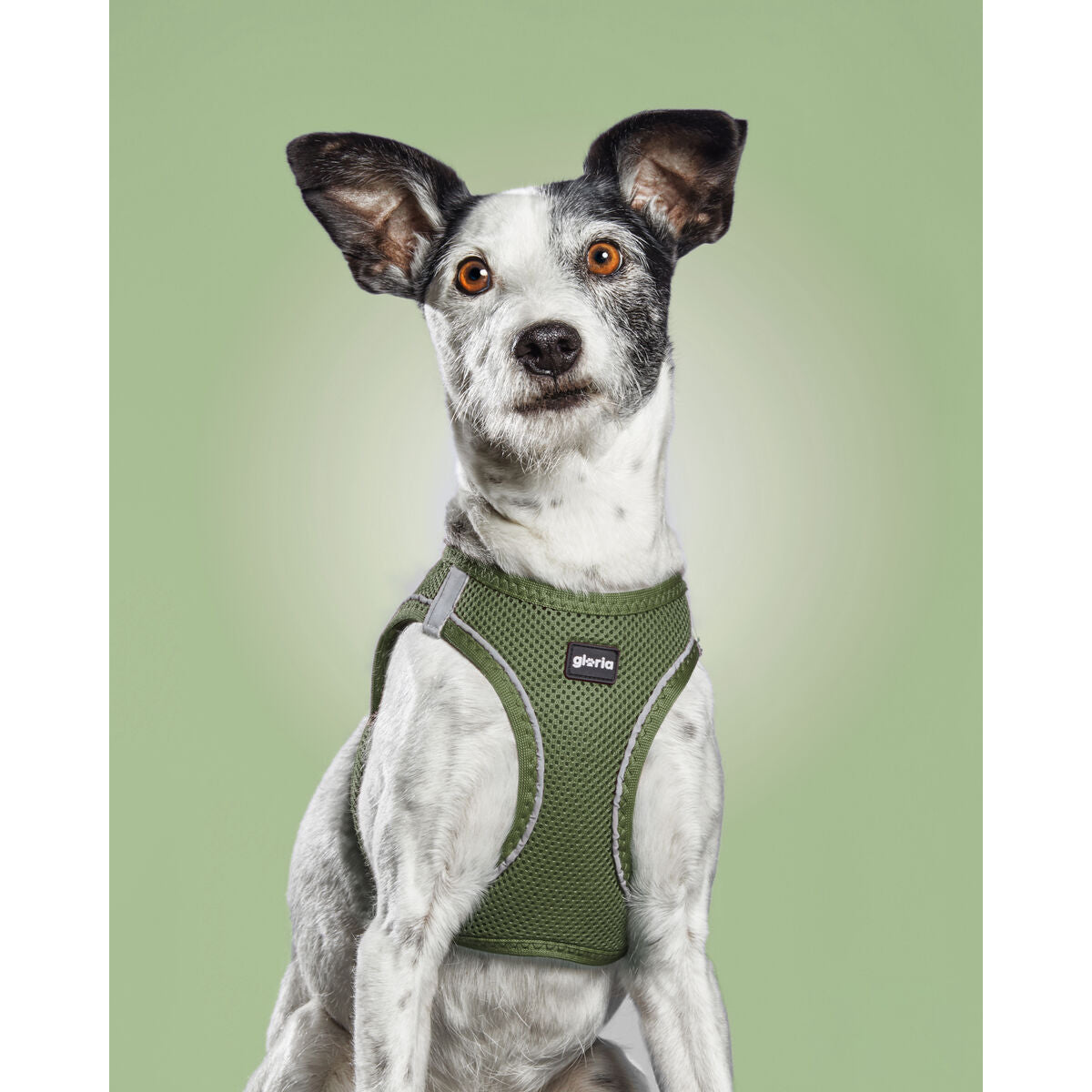 Dog Harness Gloria 24,5-26 cm Green 18-20 cm