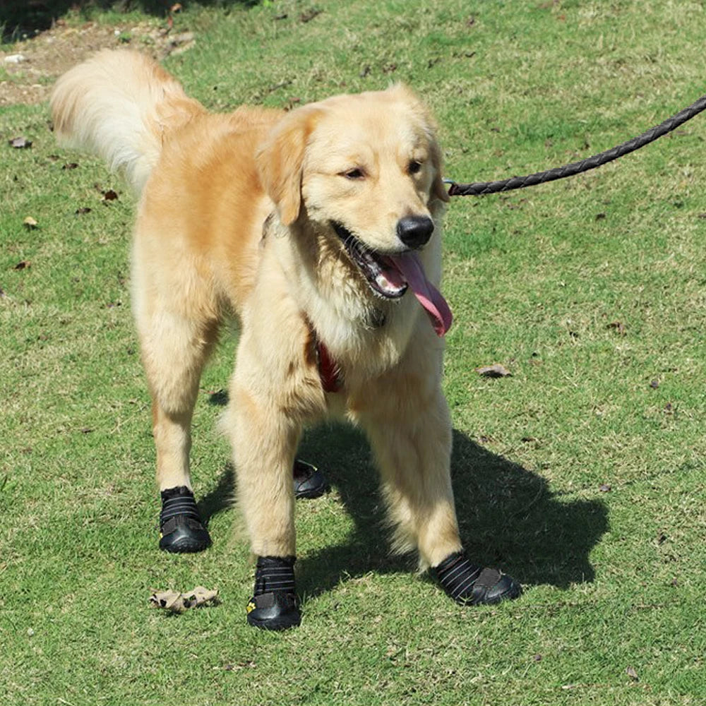 Reflecterende Hondenschoenen Sokken Winter Hondenlaarzen Schoeisel Regenkleding Antislip Antislip Huisdierenschoenen voor middelgrote grote honden Pitbull